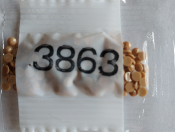 3863 rond