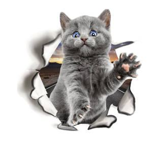 3d stickers kitten3