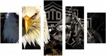 5 luik harley met arend