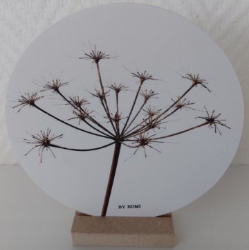 By romy wooncirkel berenklauw