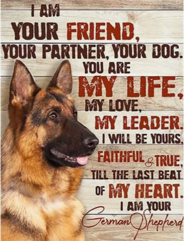 Diamond painting herder