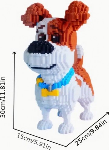 Jack russel1