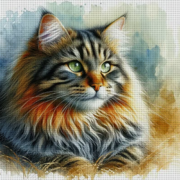Langharige kat
