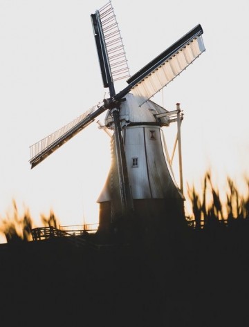 Molen