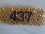 Rond437