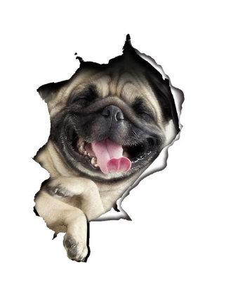rijst plan vaas 3D Muurstickers Hond - Stickers - Hamico